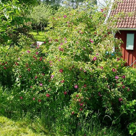 Lerdala Langesater B&B المظهر الخارجي الصورة