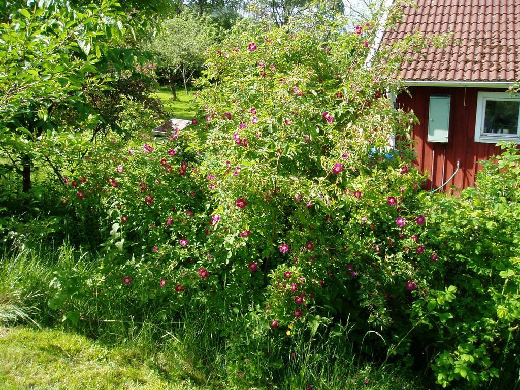 Lerdala Langesater B&B المظهر الخارجي الصورة
